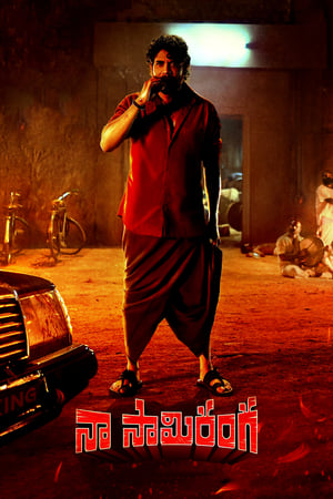 Naa Saami Ranga 2024 Hindi – 480p – 1080p