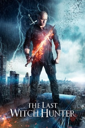 The Last Witch Hunter (2015) Hindi Dual Audio 300MB